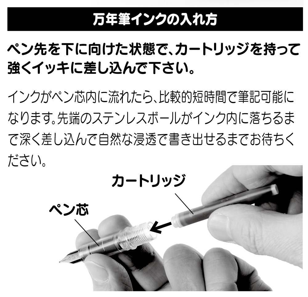 プラチナ万年筆 プレジール 画像5